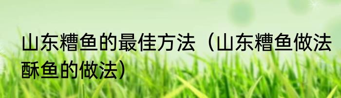 山东糟鱼的最佳方法（山东糟鱼做法酥鱼的做法）