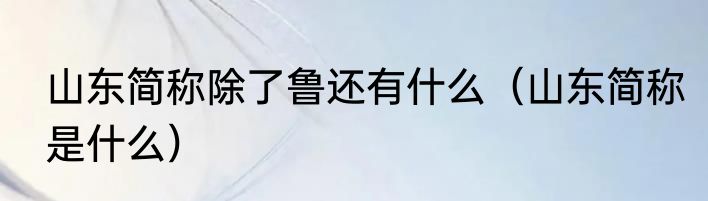 山东简称除了鲁还有什么（山东简称是什么）