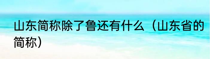 山东简称除了鲁还有什么（山东省的简称）