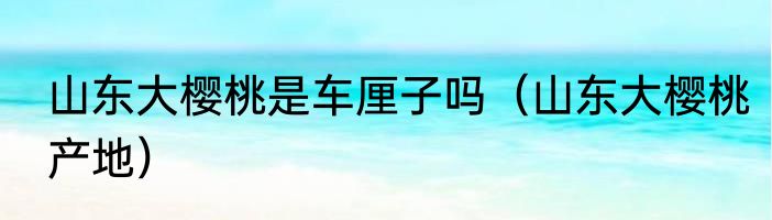 山东大樱桃是车厘子吗（山东大樱桃产地）