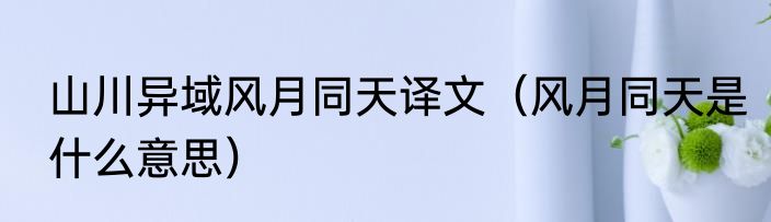 山川异域风月同天译文（风月同天是什么意思）