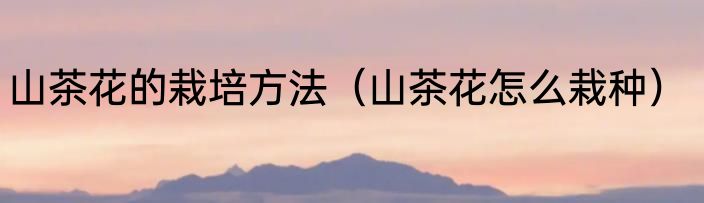 山茶花的栽培方法（山茶花怎么栽种）