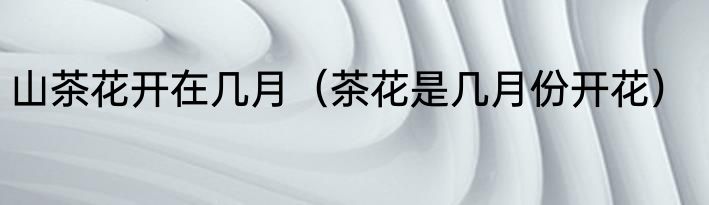 山茶花开在几月（茶花是几月份开花）