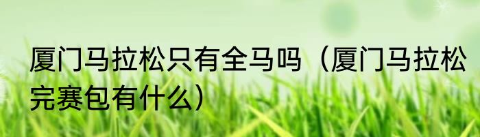 厦门马拉松只有全马吗（厦门马拉松完赛包有什么）