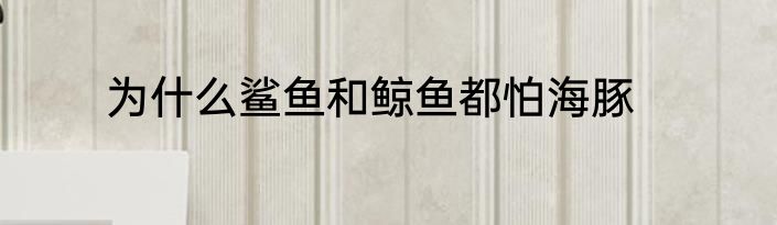 为什么鲨鱼和鲸鱼都怕海豚