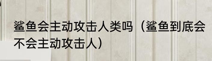 鲨鱼会主动攻击人类吗（鲨鱼到底会不会主动攻击人）