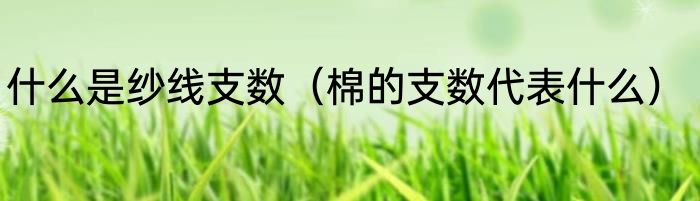 什么是纱线支数（棉的支数代表什么）