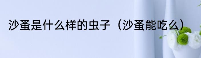 沙蚤是什么样的虫子（沙蚤能吃么）