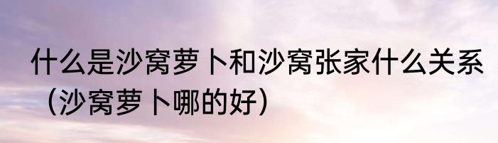 什么是沙窝萝卜和沙窝张家什么关系（沙窝萝卜哪的好）