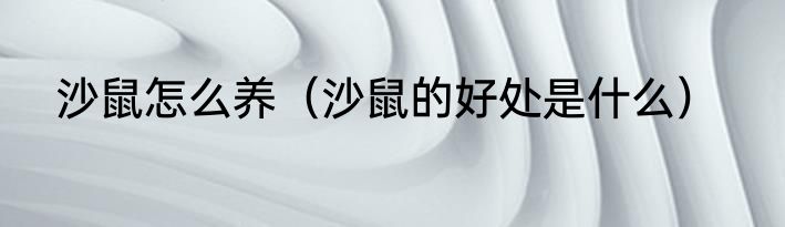 沙鼠怎么养（沙鼠的好处是什么）