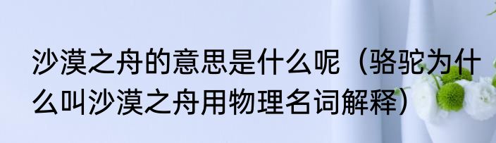 沙漠之舟的意思是什么呢（骆驼为什么叫沙漠之舟用物理名词解释）