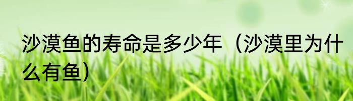 沙漠鱼的寿命是多少年（沙漠里为什么有鱼）