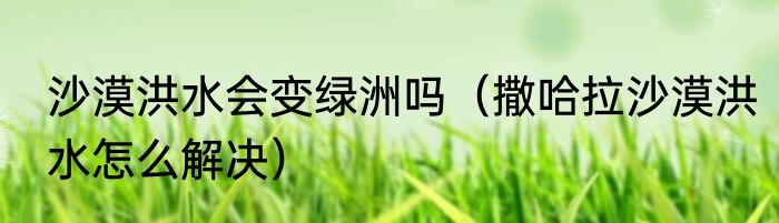 沙漠洪水会变绿洲吗（撒哈拉沙漠洪水怎么解决）