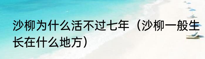 沙柳为什么活不过七年（沙柳一般生长在什么地方）