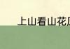 上山看山花原唱（山花开文案）