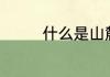 什么是山麓（山麓是什么）
