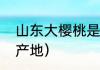 山东大樱桃是车厘子吗（山东大樱桃产地）