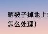 晒被子掉地上怎么弄干净（被子灰尘怎么处理）