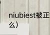 niubiest被正式收录了吗（SBHB什么）