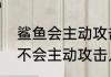鲨鱼会主动攻击人类吗（鲨鱼到底会不会主动攻击人）