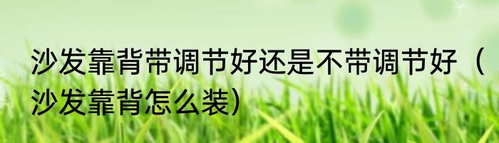 沙发靠背带调节好还是不带调节好（沙发靠背怎么装）