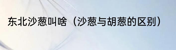 东北沙葱叫啥（沙葱与胡葱的区别）