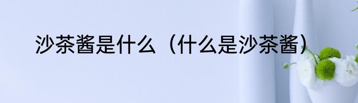 沙茶酱是什么（什么是沙茶酱）