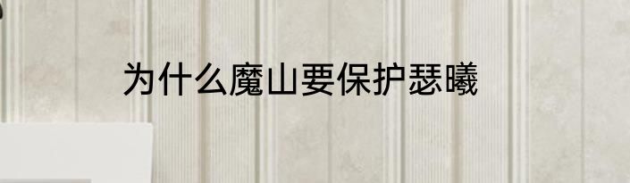 为什么魔山要保护瑟曦