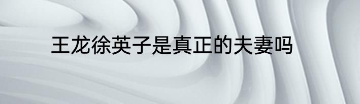 王龙徐英子是真正的夫妻吗