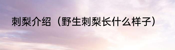 刺梨介绍（野生刺梨长什么样子）