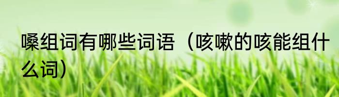 嗓组词有哪些词语（咳嗽的咳能组什么词）