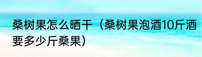 桑树果怎么晒干（桑树果泡酒10斤酒要多少斤桑果）