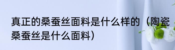 真正的桑蚕丝面料是什么样的（陶瓷桑蚕丝是什么面料）