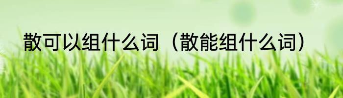 散可以组什么词（散能组什么词）