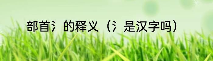 部首氵的释义（氵是汉字吗）