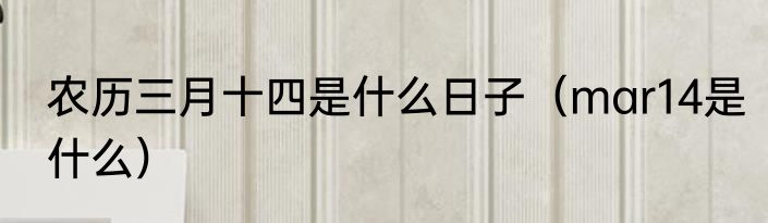 农历三月十四是什么日子（mar14是什么）