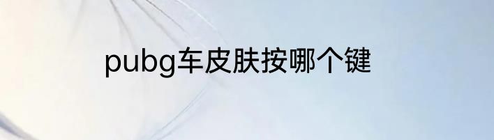 pubg车皮肤按哪个键