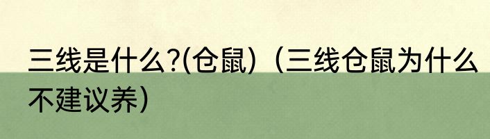 三线是什么?(仓鼠)（三线仓鼠为什么不建议养）