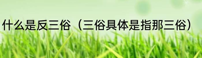 什么是反三俗（三俗具体是指那三俗）