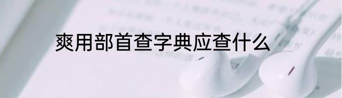 爽用部首查字典应查什么