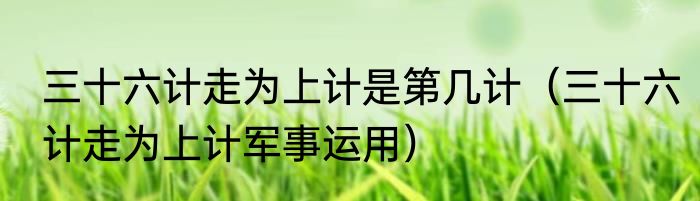 三十六计走为上计是第几计（三十六计走为上计军事运用）