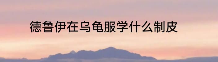 德鲁伊在乌龟服学什么制皮