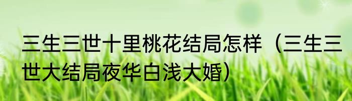 三生三世十里桃花结局怎样（三生三世大结局夜华白浅大婚）