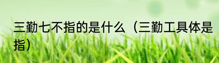 三勤七不指的是什么（三勤工具体是指）