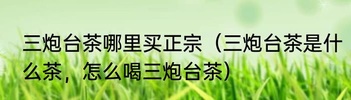 三炮台茶哪里买正宗（三炮台茶是什么茶，怎么喝三炮台茶）