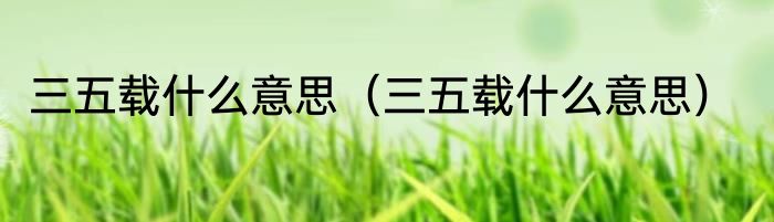 三五载什么意思（三五载什么意思）