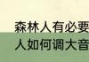 森林人有必要换音响吗（斯巴鲁森林人如何调大音量）