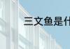 三文鱼是什么意思网络用语