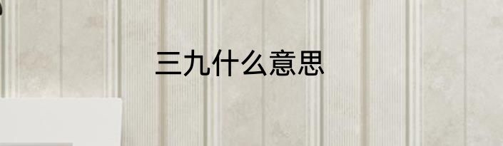 三九什么意思