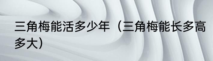 三角梅能活多少年（三角梅能长多高多大）